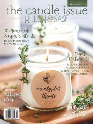 cover image of The Candle Issue